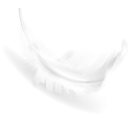 Blog Shape